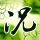 阿甘正传